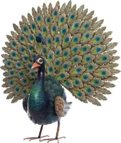 Intratuin Tuinbeeld Pauw Multi 63,5 X 16 X 66,5 Cm