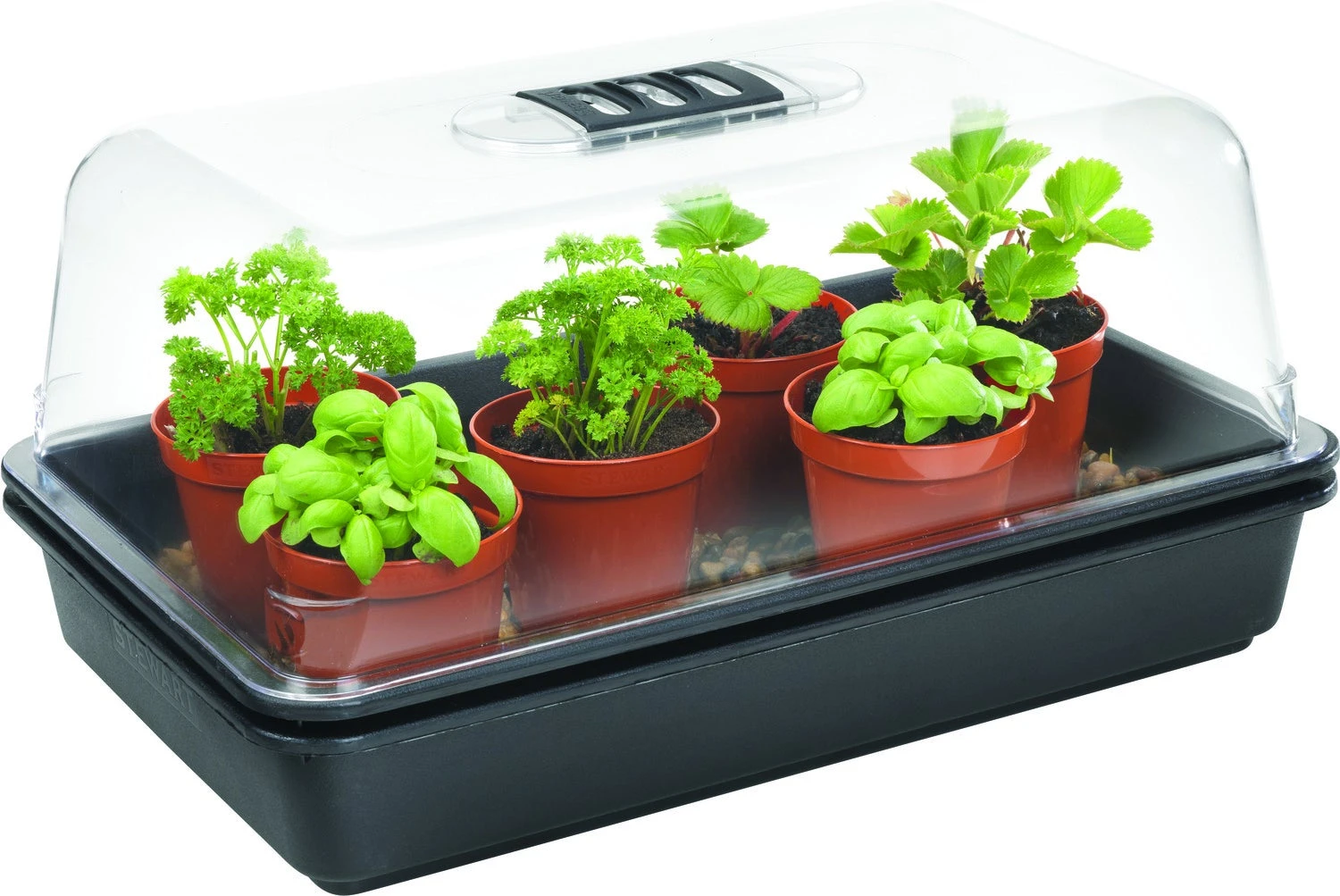 Keter Premium Elektrische Kweekkas 38 Cm 1 Keter Premium Elektrische Kweekkas 38 Cm