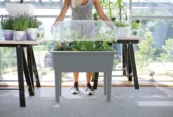 Intratuin Kweekbak Op Poten Grijs 77 X 58 X 96,3 Cm -Elho || ESSCHERT DESIGN || Nature Winkel 5905197268071 5