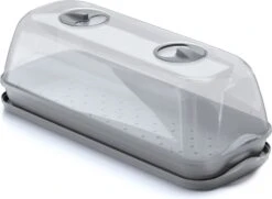 Intratuin Kweekbak Grijs 51,1 X 19,6 X 18,5 Cm