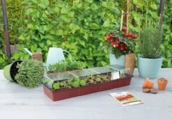 Sogo Kweekbak Inclusief 30 Kweekpotjes -Elho || ESSCHERT DESIGN || Nature Winkel 8711117873402 6