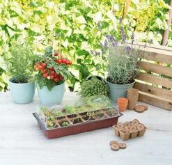 Sogo Kweekbak Inclusief 18 Kweekpotjes -Elho || ESSCHERT DESIGN || Nature Winkel 8711117873426 6