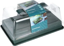 Sogo Kweekbak Groen 37 X 24 X 19 Cm