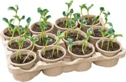 Sogo Eco Kweektray Inclusief 12 Potjes 7,5 X 40 X 28 Cm