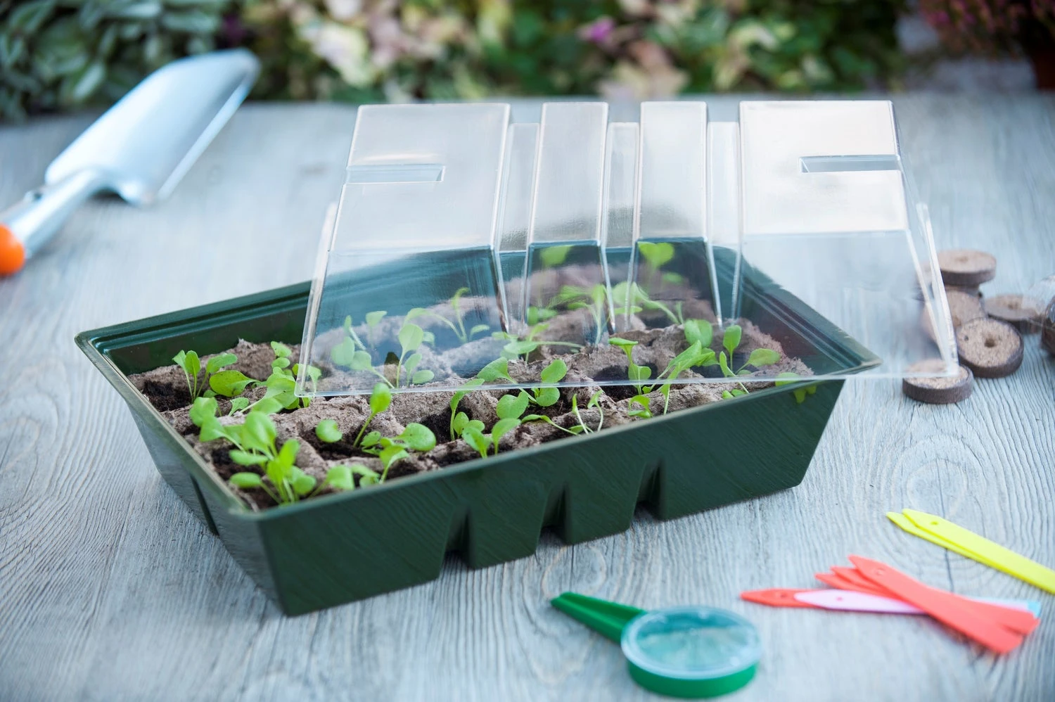 Nature Kweekkas Met Turfpotplaat 14 X 33 X 23 Cm 2 Nature Kweekkas Met Turfpotplaat 14 X 33 X 23 Cm - Afbeelding 2