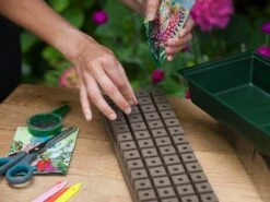 Elho || ESSCHERT DESIGN || Nature Winkel -Elho || ESSCHERT DESIGN || Nature Winkel 8711338202050 1 1