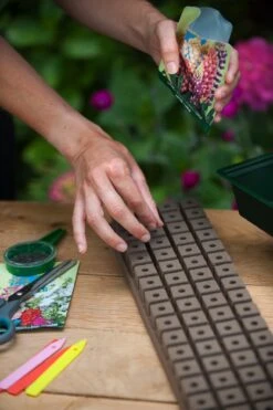 Nature Vensterbankbroeikasje 49x15,5x10cm -Elho || ESSCHERT DESIGN || Nature Winkel 8711338202050 2 1