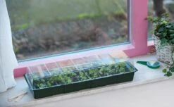 Nature Vensterbankbroeikasje 49x15,5x10cm -Elho || ESSCHERT DESIGN || Nature Winkel 8711338202050 8