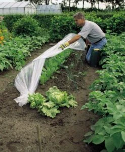 Elho || ESSCHERT DESIGN || Nature Winkel -Elho || ESSCHERT DESIGN || Nature Winkel 8711338401163 2