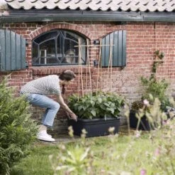 Elho Kweekbak Op Wielen Green Basics Zwart 76,7 X 57,9 X 29 Cm -Elho || ESSCHERT DESIGN || Nature Winkel 8711904316662 4