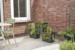 Elho Kweekbak Groen 50 X 35 X 36 Cm 10 Elho Kweekbak Groen 50 X 35 X 36 Cm -Elho || ESSCHERT DESIGN || Nature Winkel 8711904494469 4