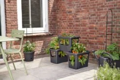 Elho Kweekbak Zwart 50 X 35 X 36 Cm -Elho || ESSCHERT DESIGN || Nature Winkel 8711904494490 4