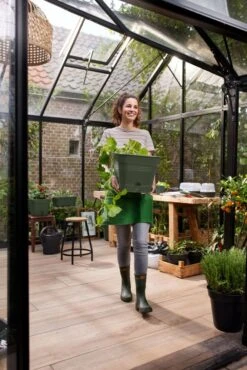 Elho Allin1 Kweekbak Groen / Transparant19,5 X 19,5 X 28,4 Cm -Elho || ESSCHERT DESIGN || Nature Winkel 8711904515355 3