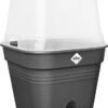 Elho Allin1 Kweekbak Zwart / Transparant 24,5 X 24,5 X 35,6 Cm