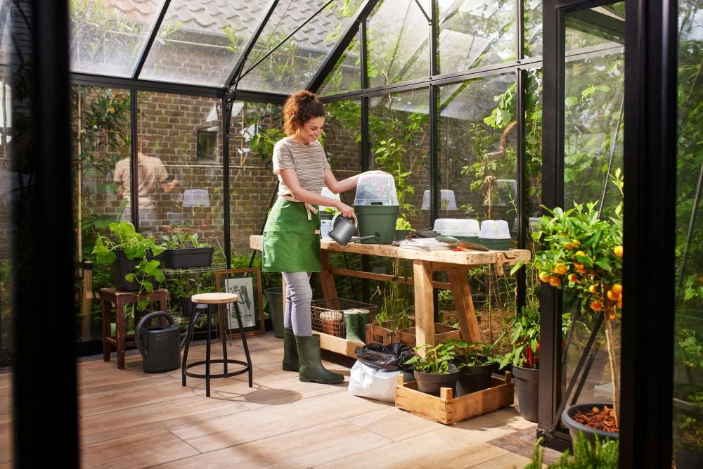 Elho Allin1 Kweekbak Groen / Transparant 32 X 18 X 21,6 Cm 4 Elho Allin1 Kweekbak Groen / Transparant 32 X 18 X 21,6 Cm - Afbeelding 4