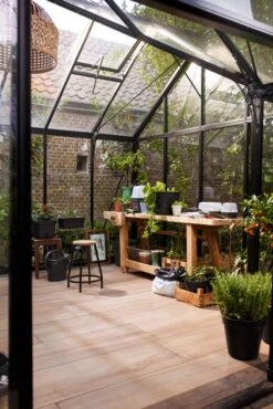 Elho Allin1 Kweekbak Zwart / Transparant 39 X 23 X 25,7 Cm -Elho || ESSCHERT DESIGN || Nature Winkel 8711904515881 3