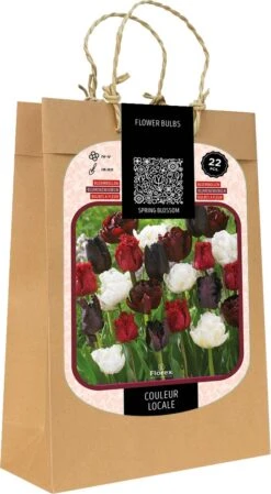 Florex Spring Blossom Bloembollen Couleur Locale Zwart Rood Wit 22 Stuks