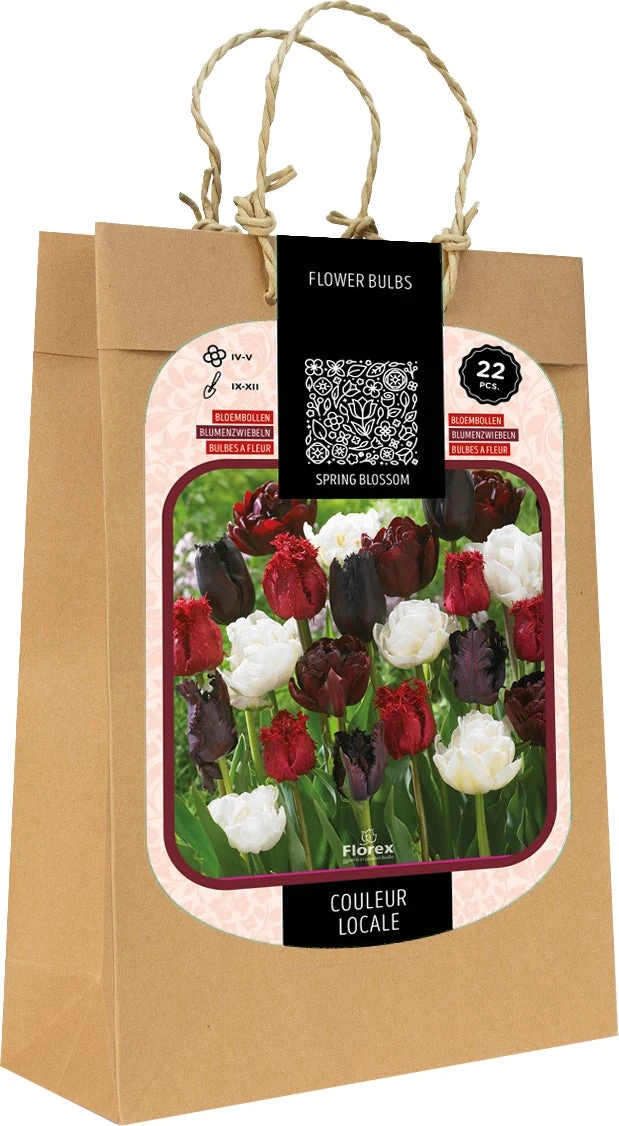 Florex Spring Blossom Bloembollen Couleur Locale Zwart Rood Wit 22 Stuks 1 Florex Spring Blossom Bloembollen Couleur Locale Zwart Rood Wit 22 Stuks