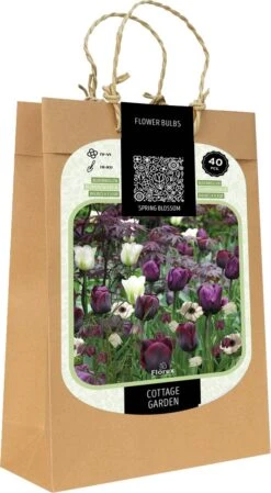 Florex Spring Blossom Bloembollen Cottage Garden Paars Wit 20 Stuks