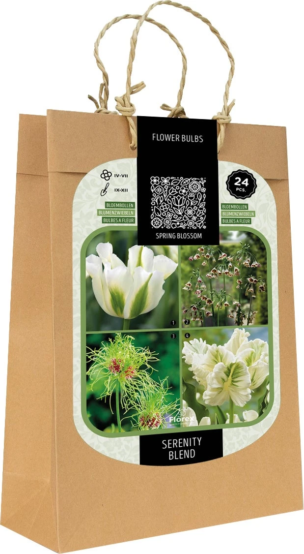 Florex Spring Blossom Bloembollen Serenity Blend Wit Groen Paars 24 Stuks 1 Florex Spring Blossom Bloembollen Serenity Blend Wit Groen Paars 24 Stuks