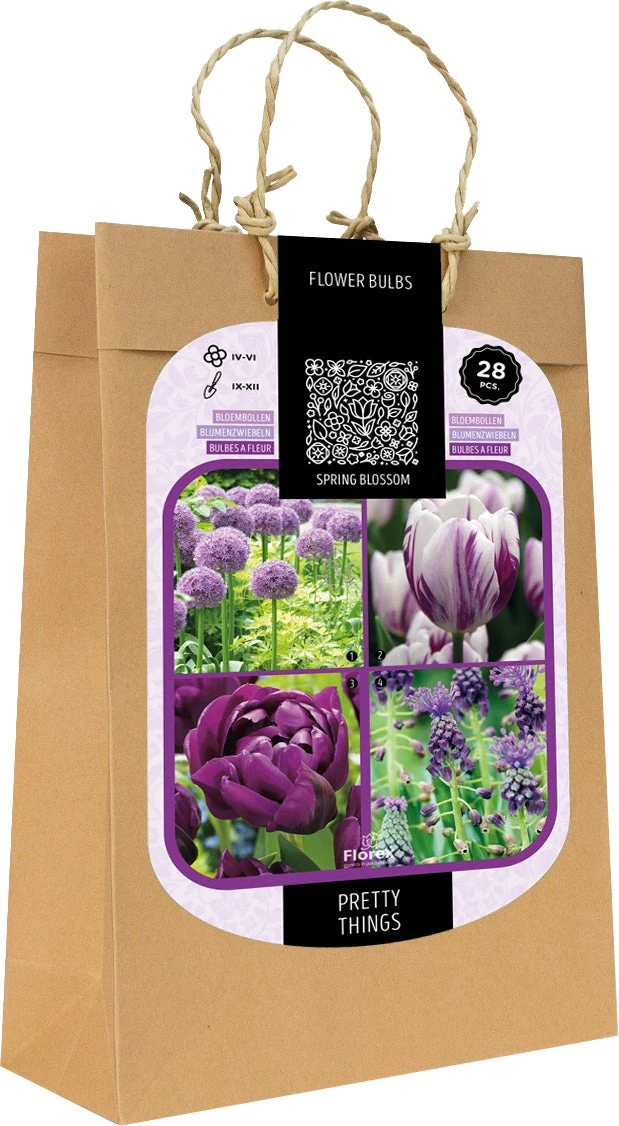 Florex Spring Blossom Bloembollen Pretty Things Paars 28 Stuks 1 Florex Spring Blossom Bloembollen Pretty Things Paars 28 Stuks