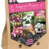 Florex PickUpBags Nuttige Geurende Bloemen