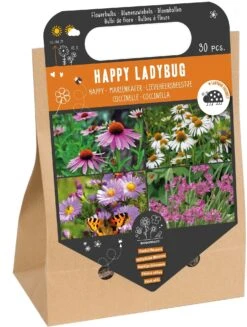 Florex Bloembollen Nuttige Bloemen Lieveheersbeestjes 30 Stuks