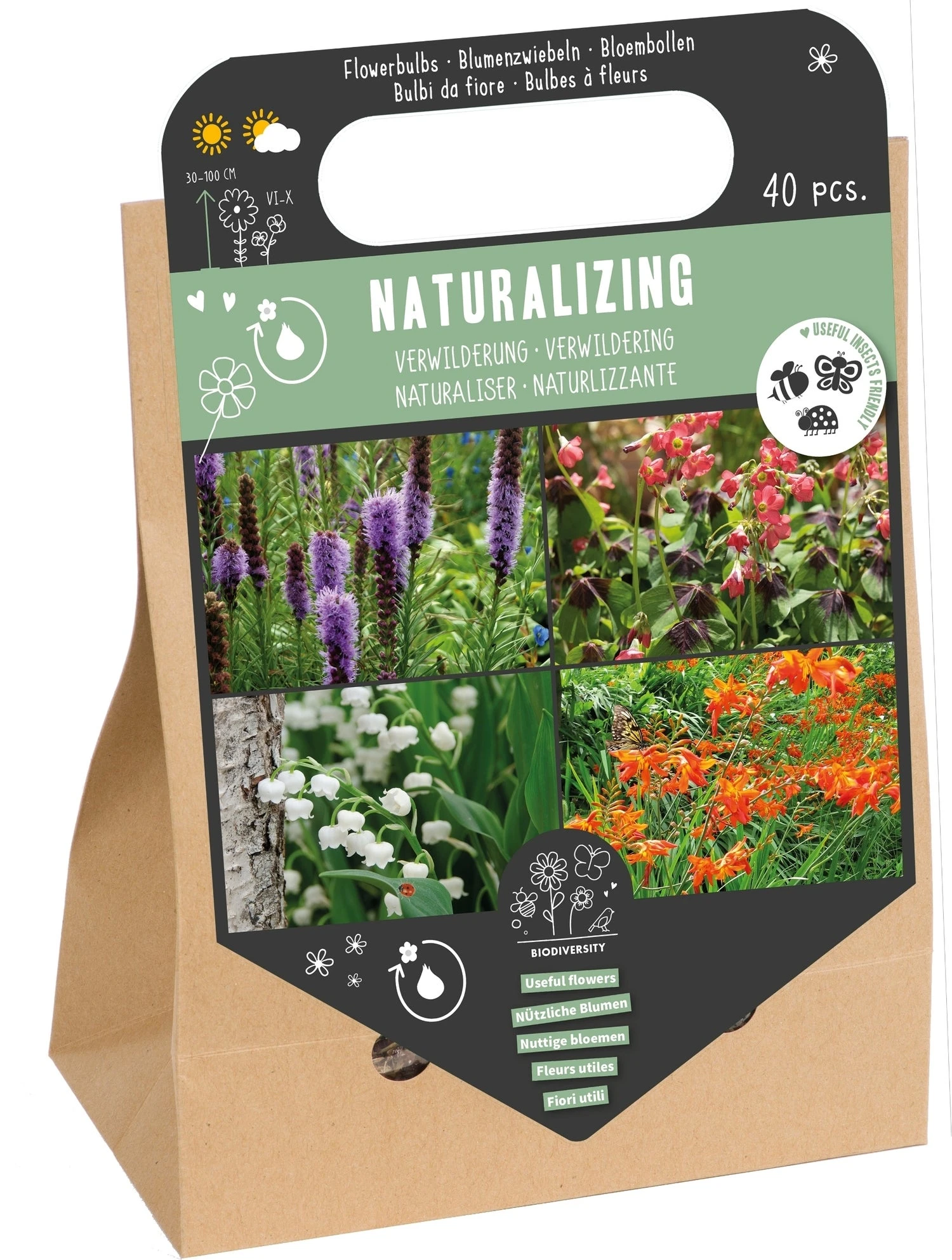 Florex Bloembollen Nuttige Bloemen Verwildering 30 Stuks 1 Florex Bloembollen Nuttige Bloemen Verwildering 30 Stuks