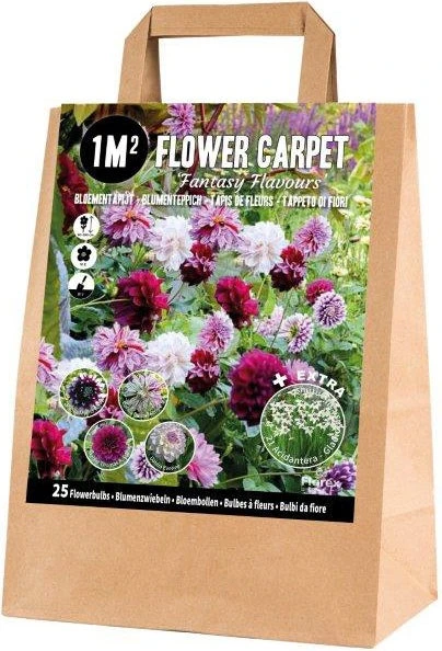 Florex Bloembollen 1M² Bloementapijt Fantasy Flavours 25 Stuks 1 Florex Bloembollen 1M² Bloementapijt Fantasy Flavours 25 Stuks