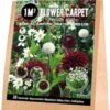 Florex Bloembollen 1M² Bloementapijt Persian Nights 25 Stuks