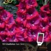 Florex Premium Gladiool (Gladiolus 'San Siro') 10 Stuks