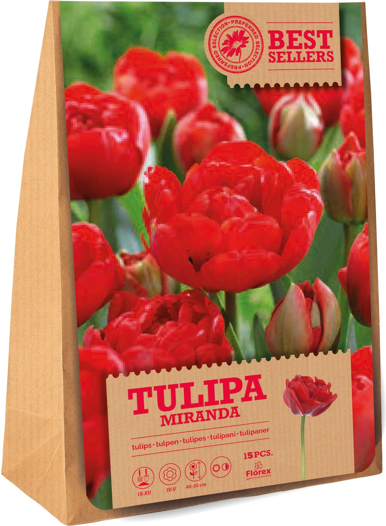 Florex Bloembollen Tulp (Tulipa 'Miranda') 15 Stuks 1 Florex Bloembollen Tulp (Tulipa 'Miranda') 15 Stuks