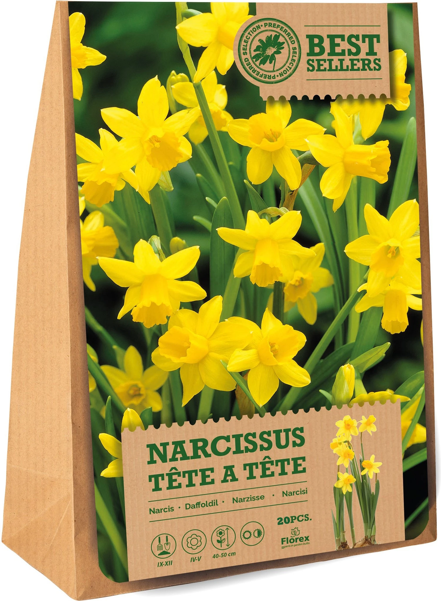 Florex Bloembollen Narcis (Narcissus 'Tète A Tète') 20 Stuks 1 Florex Bloembollen Narcis (Narcissus 'Tète A Tète') 20 Stuks