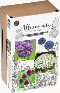 Florex Bloembollen Trendy Allium 5 Florex Bloembollen Trendy Allium -Elho || ESSCHERT DESIGN || Nature Winkel 8713339662826 2