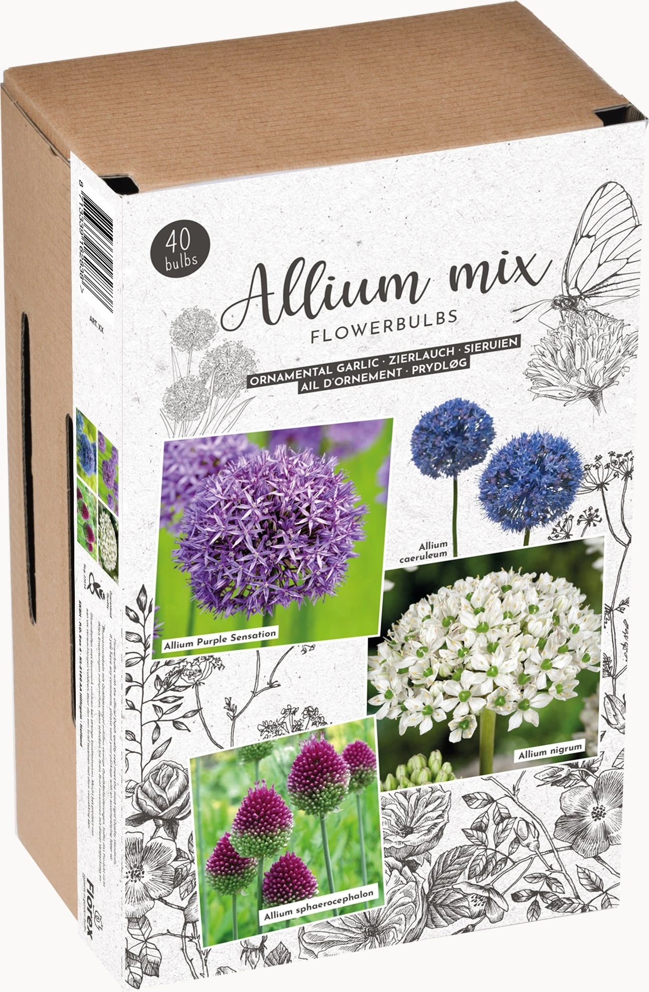 Florex Bloembollen Trendy Allium 3 Florex Bloembollen Trendy Allium - Afbeelding 3