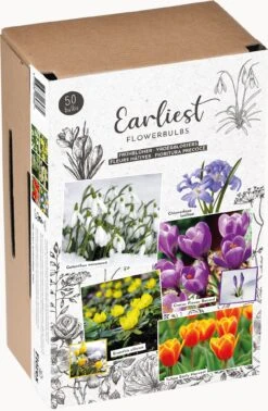 Florex Bloembollen Vroegbloeiers -Elho || ESSCHERT DESIGN || Nature Winkel 8713339662833 2