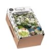 Florex Bloembollen Bouquet In Doos Cool White 24 X 10 X 15 Cm
