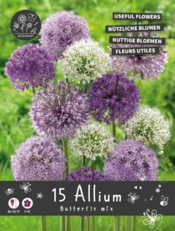 Florex Bloembollen Nuttige Bloemen Sierui (Allium 'Butterfly') Mix 10,5 X 17,5 X 22 Cm