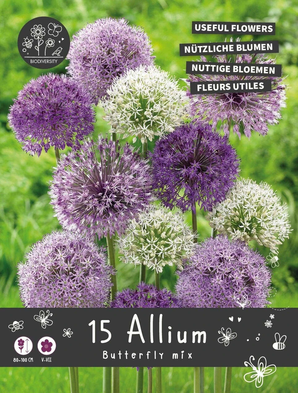 Florex Bloembollen Nuttige Bloemen Sierui (Allium 'Butterfly') Mix 10,5 X 17,5 X 22 Cm 1 Florex Bloembollen Nuttige Bloemen Sierui (Allium 'Butterfly') Mix 10,5 X 17,5 X 22 Cm