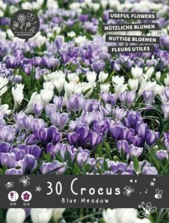 Florex Bloembollen Nuttige Bloemen Krokus (Crocus 'Blue Meadow') Mix 10,5 X 17,5 X 22 Cm