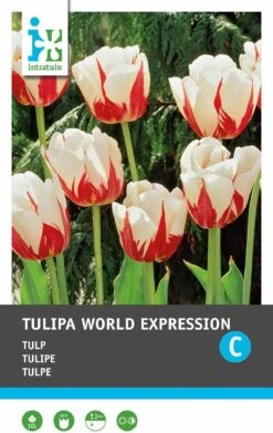 Intratuin Bloembollen Tulp (Tulipa 'World Expression') 10 Stuks