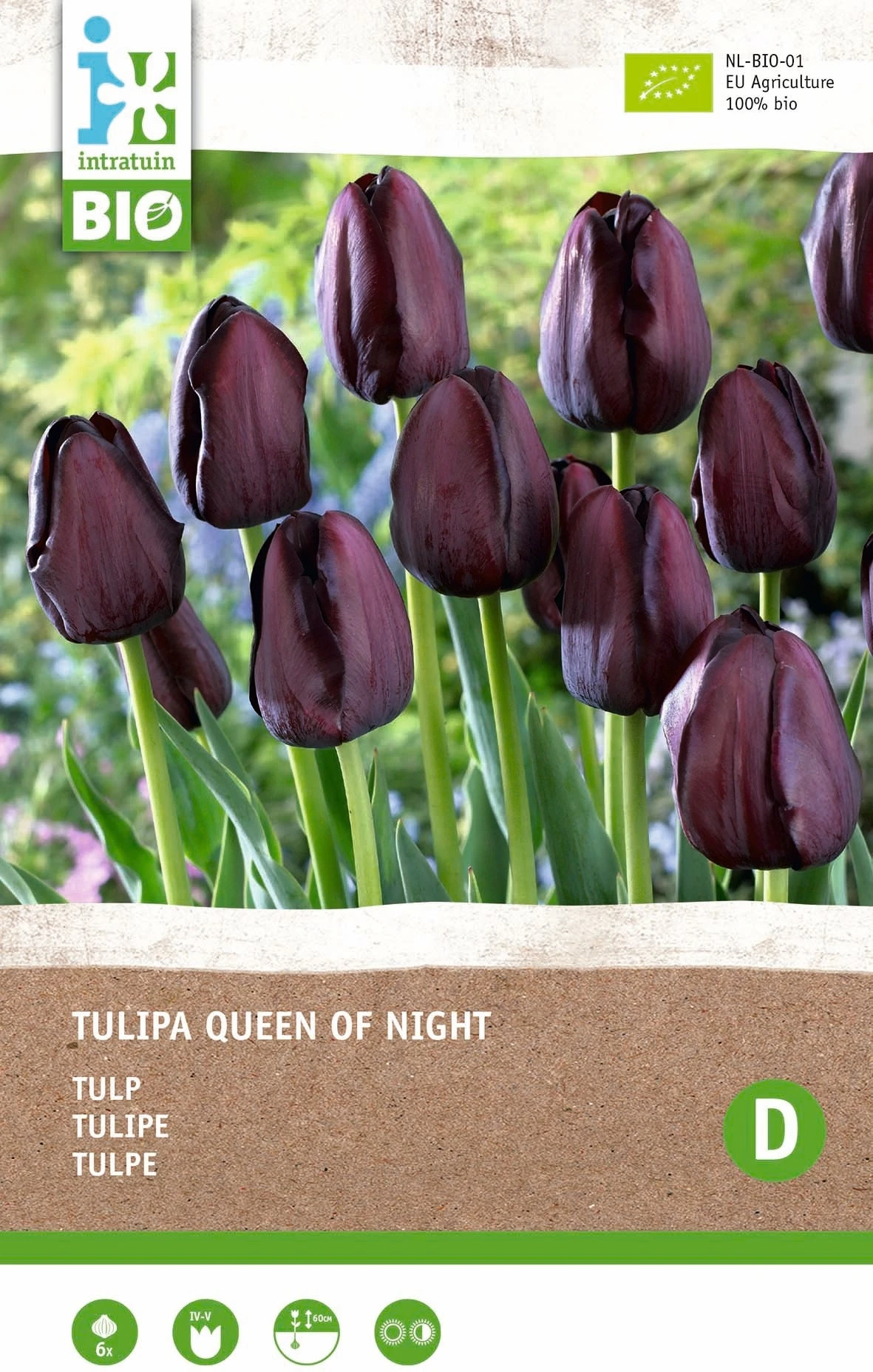 Intratuin Biologische Bloembollen Tulp (Tulipa 'Queen Of Night') 6 Stuks 1 Intratuin Biologische Bloembollen Tulp (Tulipa 'Queen Of Night') 6 Stuks