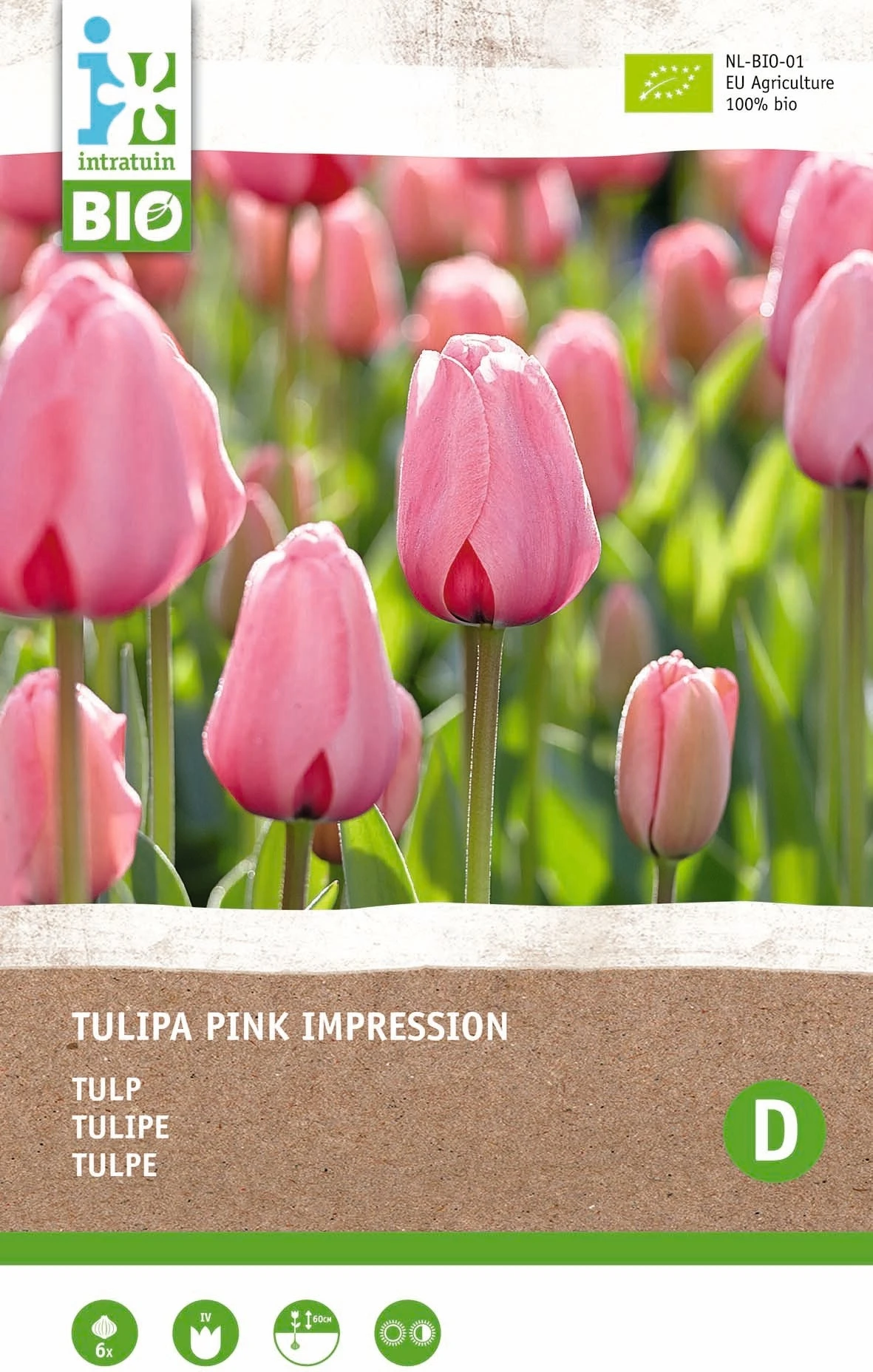 Intratuin Biologische Bloembollen Tulp (Tulipa 'Pink Impression') 6 Stuks 1 Intratuin Biologische Bloembollen Tulp (Tulipa 'Pink Impression') 6 Stuks