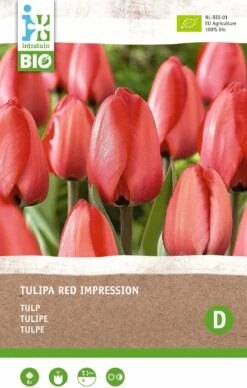 Intratuin Biologische Bloembollen Tulp (Tulipa 'Red Impression' ) 6 Stuks