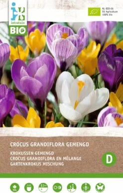 Intratuin Biologische Bloembollen Krokus (Crocus Grandiflora) Gemengd 10 Stuks