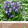 Intratuin Biologische Bloembollen Sterhyacint (Scilla Siberica) 8 Stuks