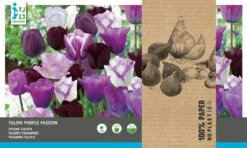 Intratuin Bloembollen Tulp (Tulipa 'Purple Passion') Gemengd 25 Stuks -Elho || ESSCHERT DESIGN || Nature Winkel 8717263342663 2 2