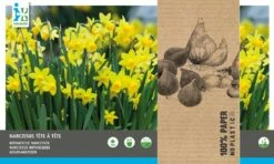 Intratuin Bloembollen Narcis (Narcissus 'Tete A Tete') 30 Stuks