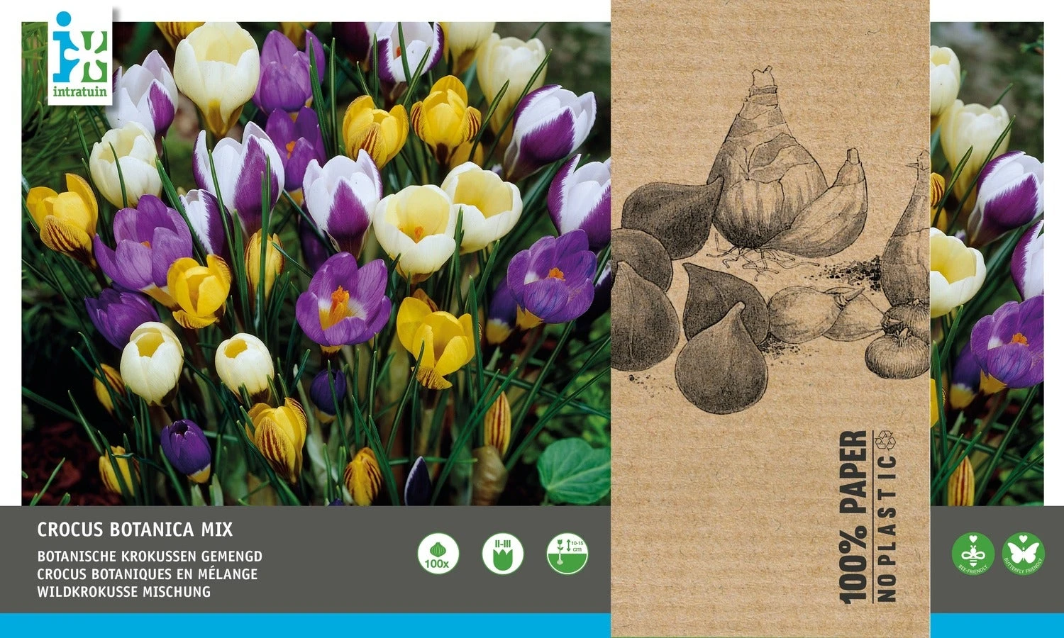 Intratuin Bloembollen Botanische Krokus (Crocus) Gemengd 100 Stuks 2 Intratuin Bloembollen Botanische Krokus (Crocus) Gemengd 100 Stuks - Afbeelding 2