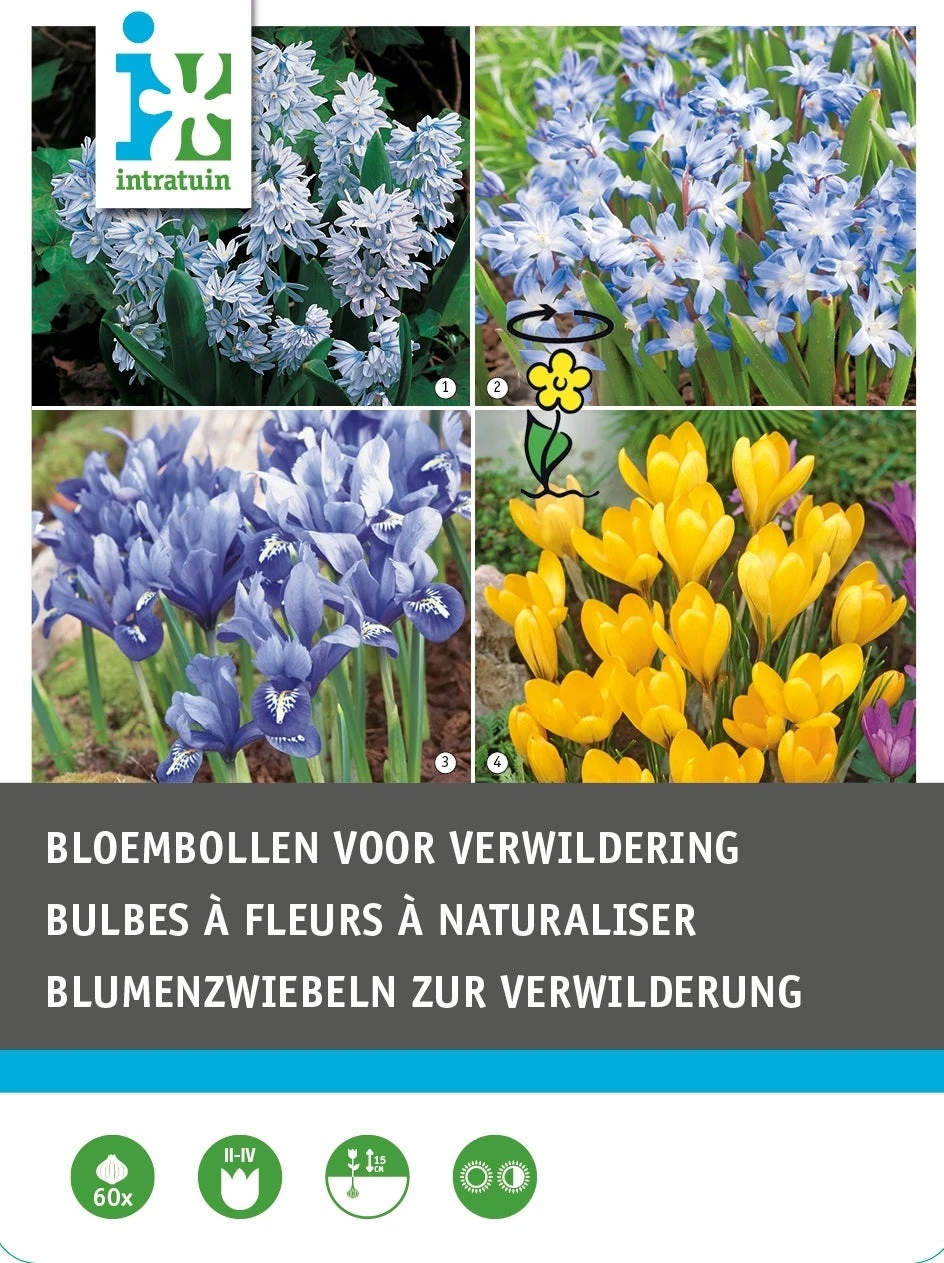 Intratuin Bloembollen (voor Verwildering) Gemengd 60 Stuks 2 Intratuin Bloembollen (voor Verwildering) Gemengd 60 Stuks - Afbeelding 2